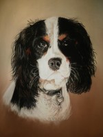 /album/galerie-de-photos-animaux/doug-le-chien-de-mon-pote-pastel-55x45-jpg/